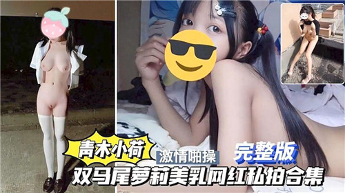 青木小荷双马尾萝莉巨乳私拍狂干合集